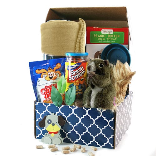 RUFF Day: Pet Dog Gift Basket Kenzy's